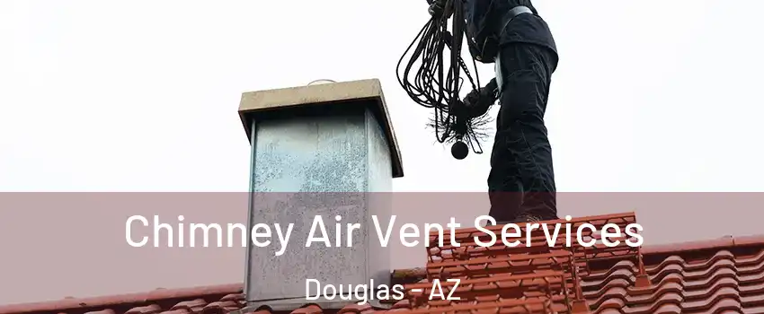 Chimney Air Vent Services Douglas - AZ