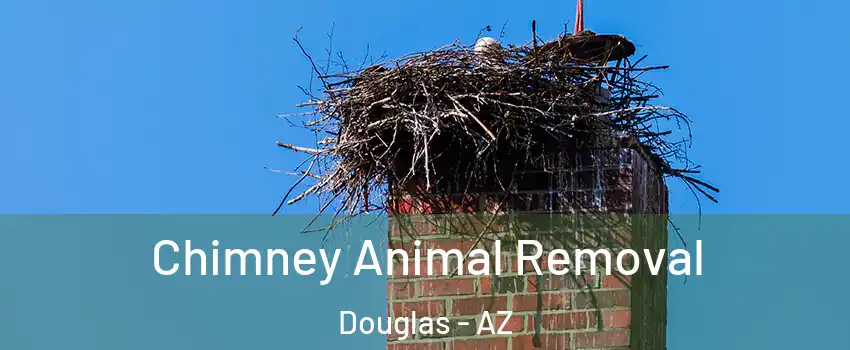 Chimney Animal Removal Douglas - AZ