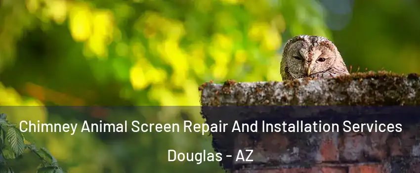 Chimney Animal Screen Repair And Installation Services Douglas - AZ