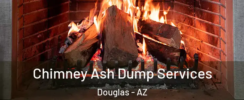 Chimney Ash Dump Services Douglas - AZ