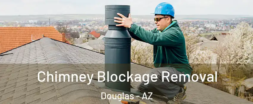  Chimney Blockage Removal Douglas - AZ