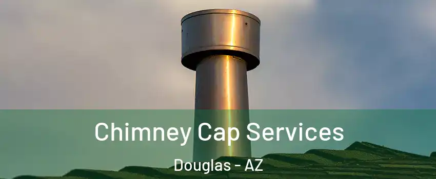  Chimney Cap Services Douglas - AZ
