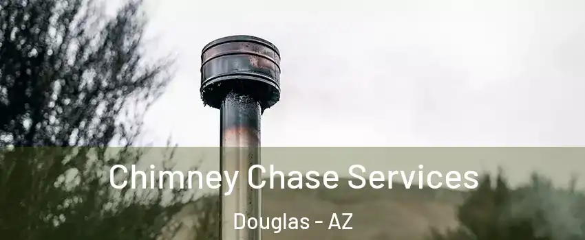  Chimney Chase Services Douglas - AZ
