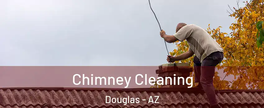  Chimney Cleaning Douglas - AZ
