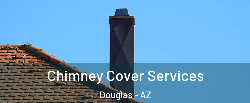  Chimney Cover Services Douglas - AZ