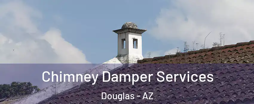 Chimney Damper Services Douglas - AZ