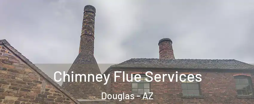  Chimney Flue Services Douglas - AZ