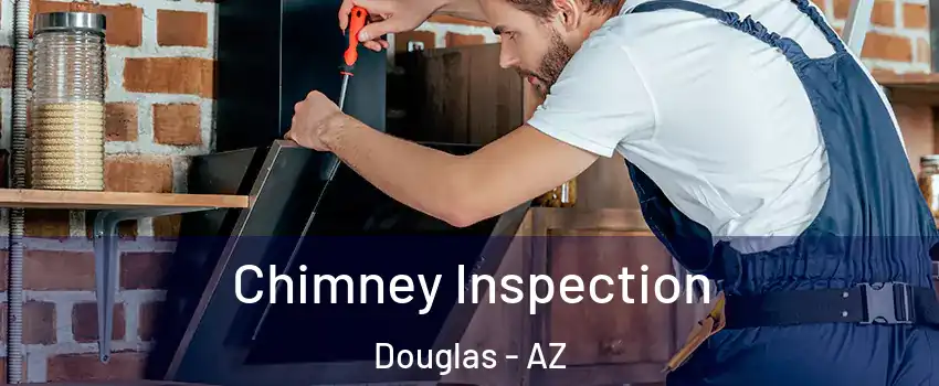  Chimney Inspection Douglas - AZ