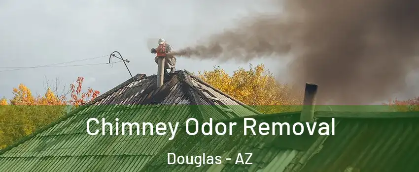 Chimney Odor Removal Douglas - AZ