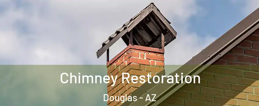 Chimney Restoration Douglas - AZ