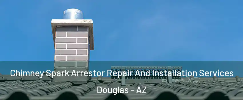 Chimney Spark Arrestor Repair And Installation Services Douglas - AZ