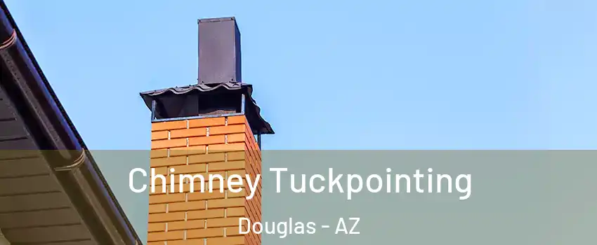 Chimney Tuckpointing Douglas - AZ