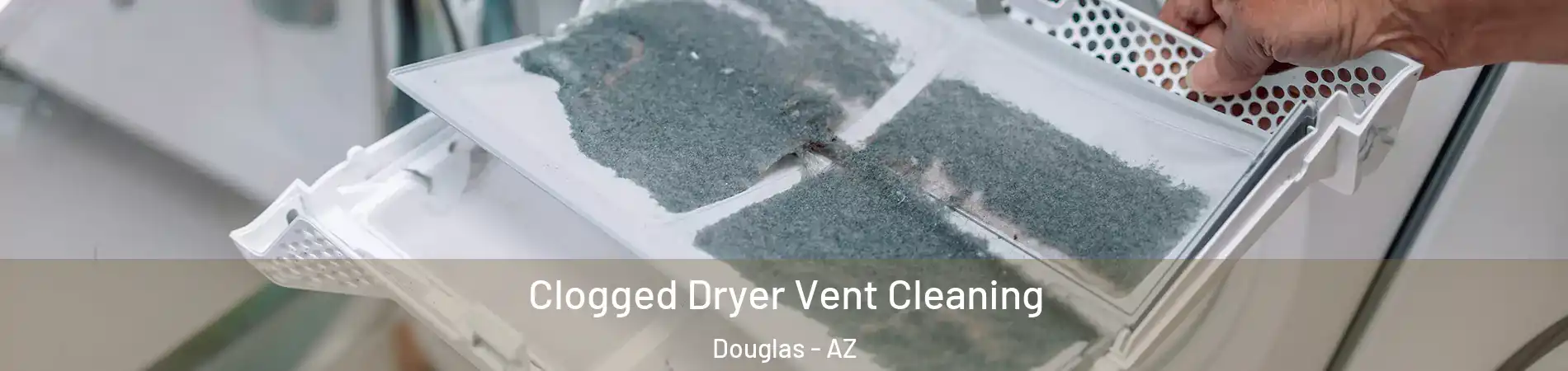  Clogged Dryer Vent Cleaning Douglas - AZ