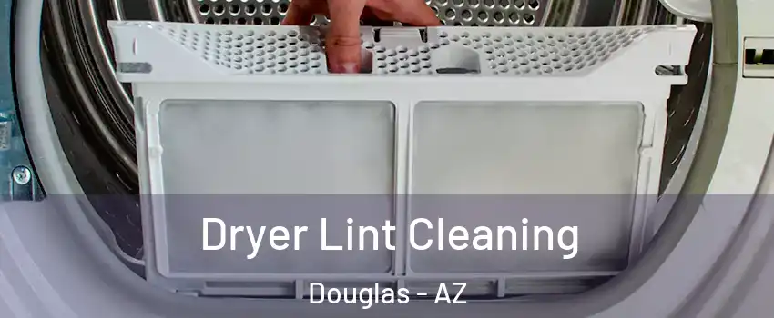 Dryer Lint Cleaning Douglas - AZ