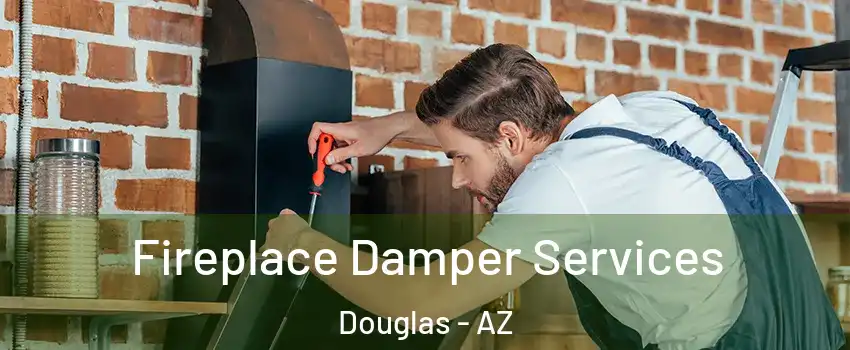  Fireplace Damper Services Douglas - AZ
