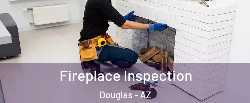 Fireplace Inspection Douglas - AZ