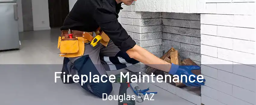 Fireplace Maintenance Douglas - AZ