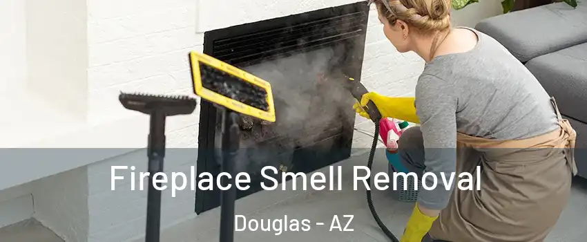 Fireplace Smell Removal Douglas - AZ
