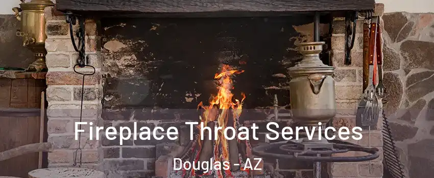 Fireplace Throat Services Douglas - AZ