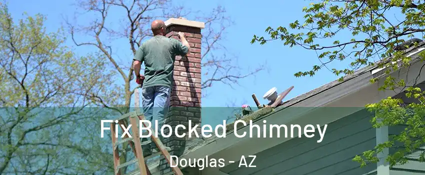  Fix Blocked Chimney Douglas - AZ