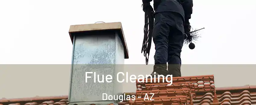  Flue Cleaning Douglas - AZ