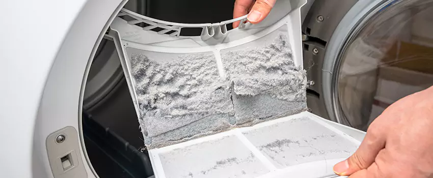 Best Dryer Lint Removal Company in Douglas, Arizona