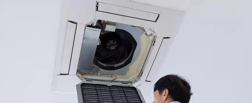 Benefits of Professional Air Duct Cleaning in Douglas, Arizona