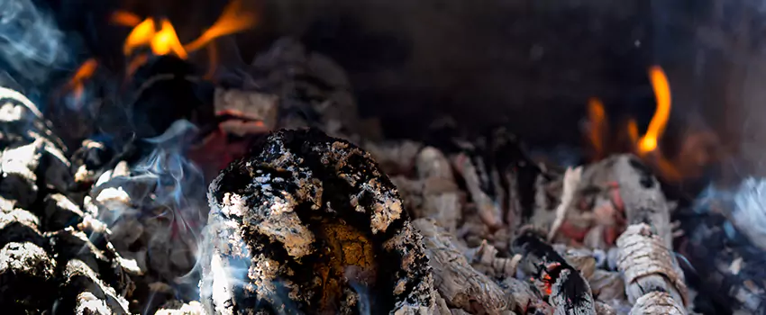 Creosote Removal Experts in Douglas, AZ