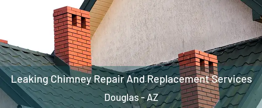  Leaking Chimney Repair And Replacement Services Douglas - AZ
