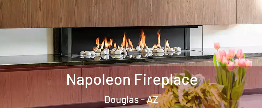  Napoleon Fireplace Douglas - AZ