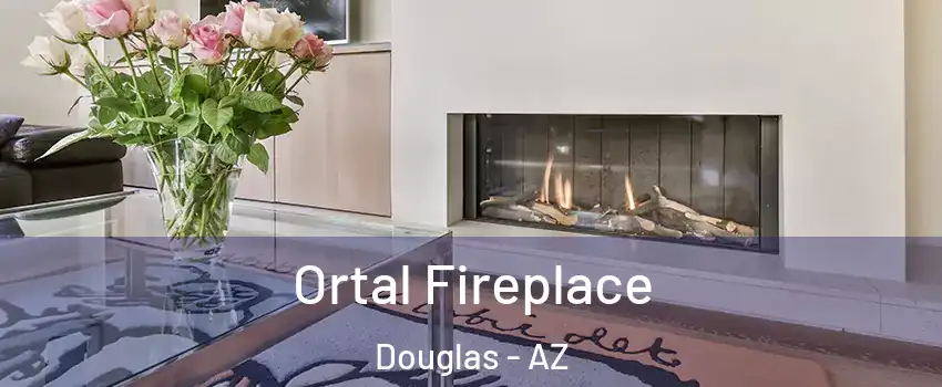 Ortal Fireplace Douglas - AZ